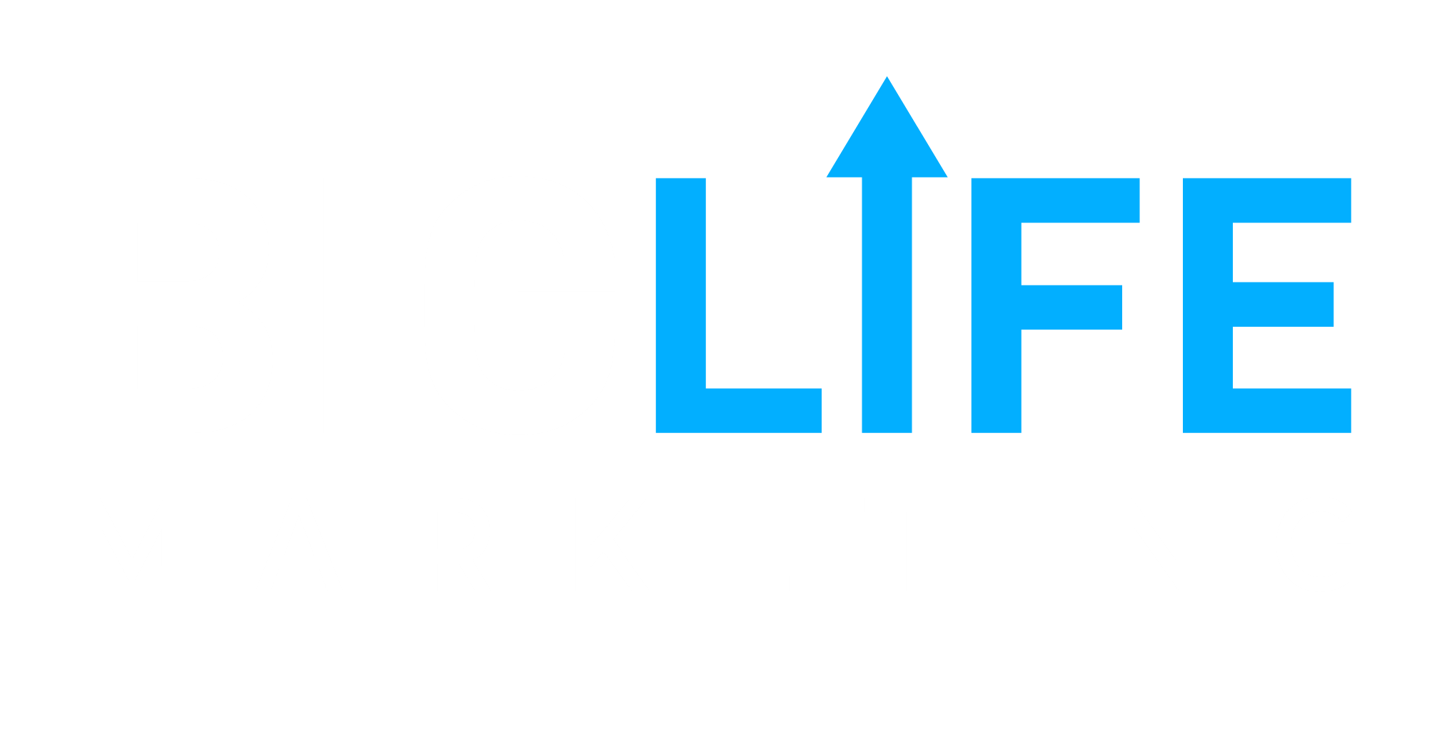 Big Life Marketing